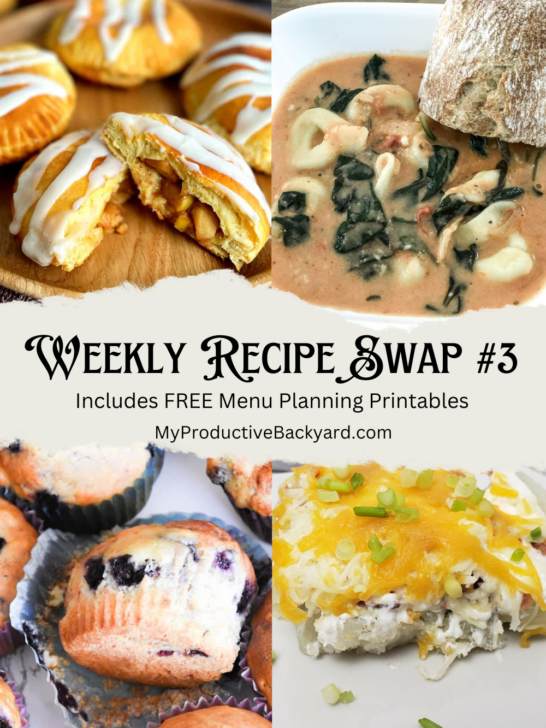 Weekly Recipe Swap #3