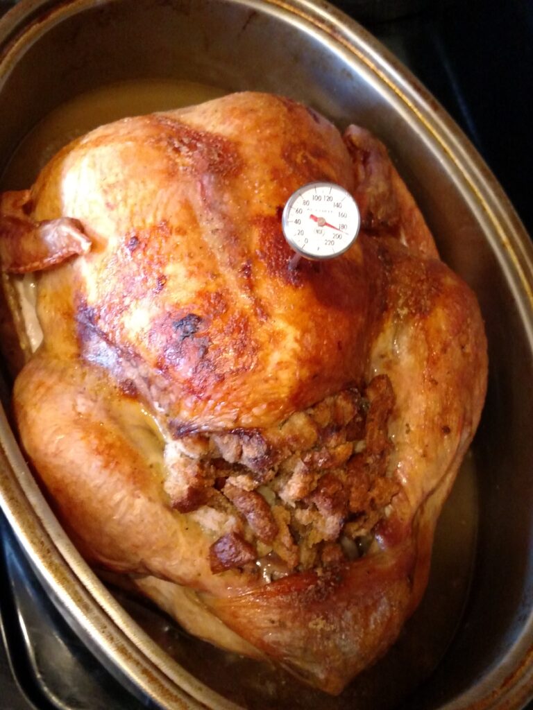 beautiful cooked turkey in roasting pan