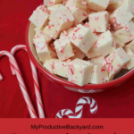 Peppermint Candy Cane Fudge Pinterest Pin