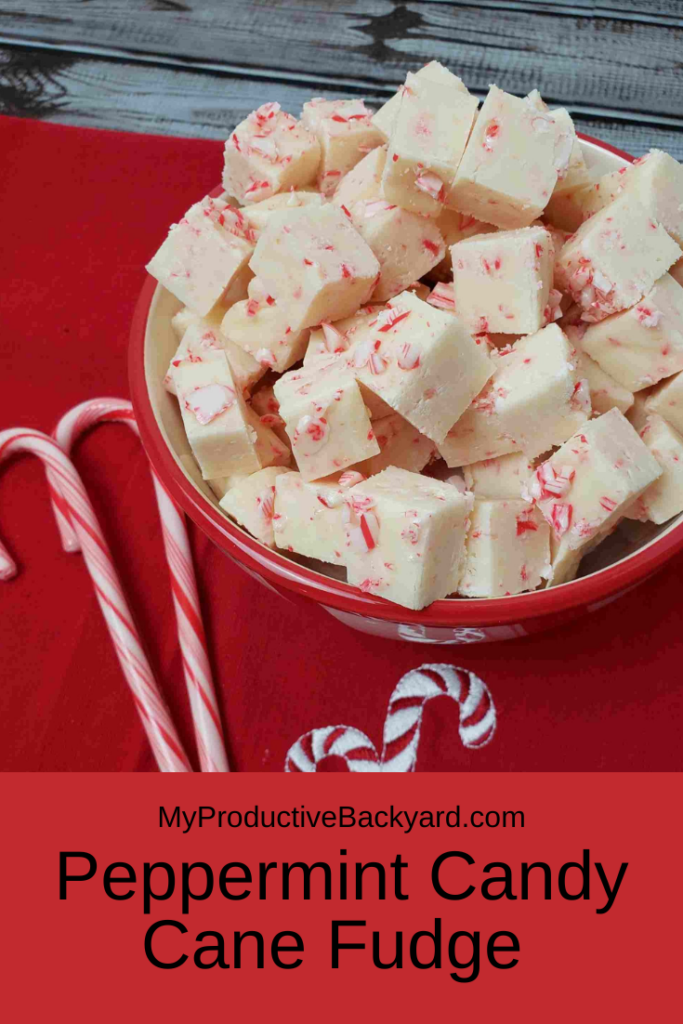 Peppermint Candy Cane Fudge Pinterest Pin