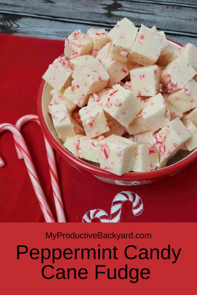 Peppermint Candy Cane Fudge Pinterest Pin