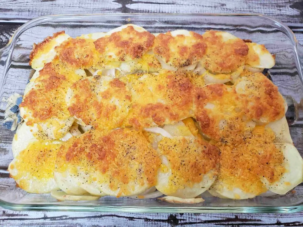 cheesy potato rounds all baked