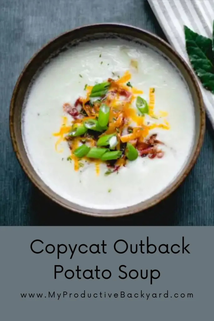 Copycat Outback Potato Soup Pinterest Pin