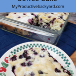 Overnight Blueberry Coffee Cake Pinterest Pin