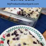 Overnight Blueberry Coffee Cake Pinterest Pin