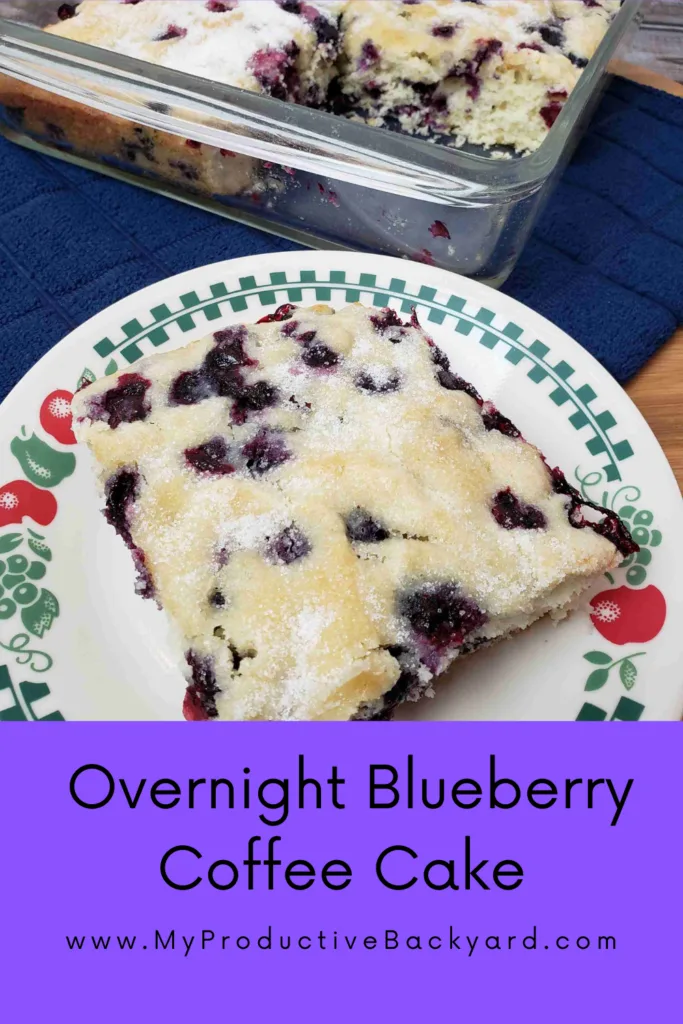 Overnight Blueberry Coffee Cake Pinterest Pin