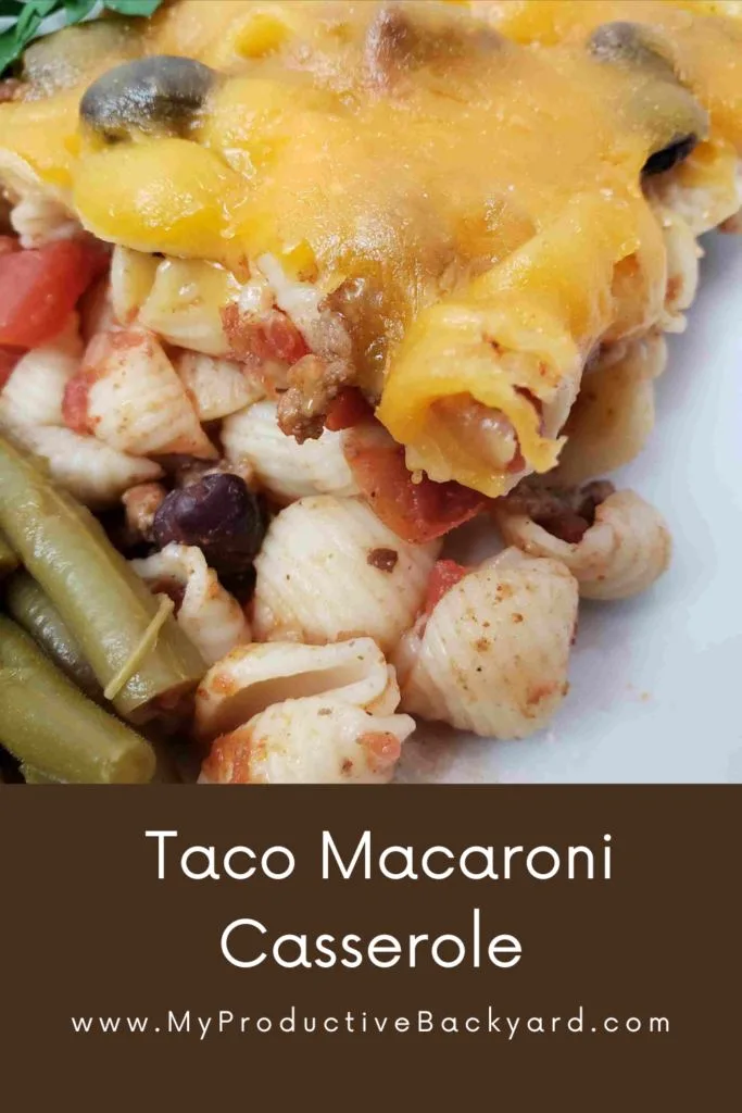 Taco Macaroni Casserole Pinterest Pin
