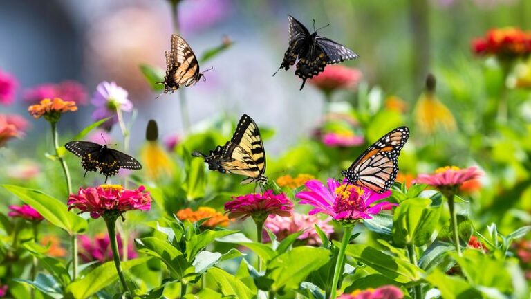 12 Backyard Plants Butterflies Flock To (And 5 Popular Picks They Completely Ignore)