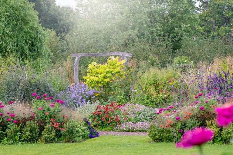 19 Cheap Flowers That Keep Your Beds Blooming All Summer Without Draining Your Wallet