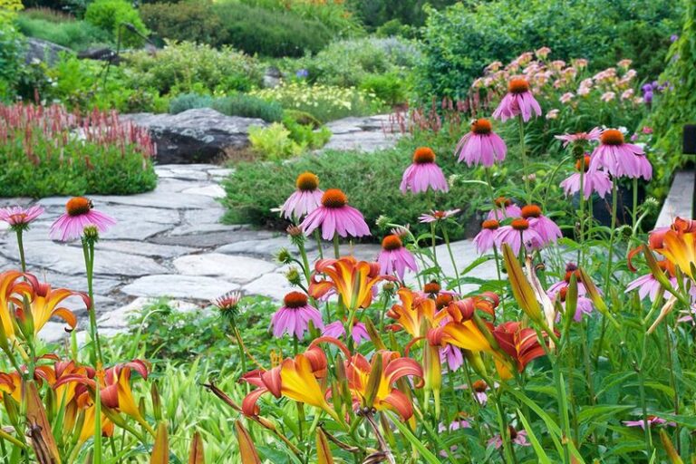 11 Perennials That Turn Your Backyard Into A Stop For Birds, Bees, And Butterflies