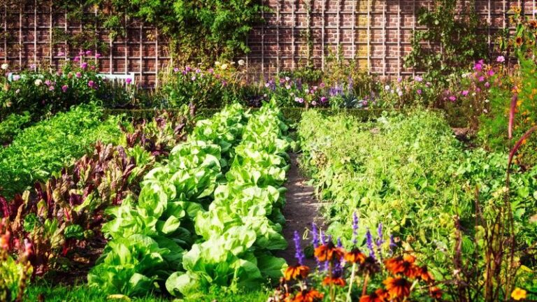 18 Crops You Can Still Plant Right Now For A Surprising Late-Summer Harvest (Yes, Even Pumpkins)