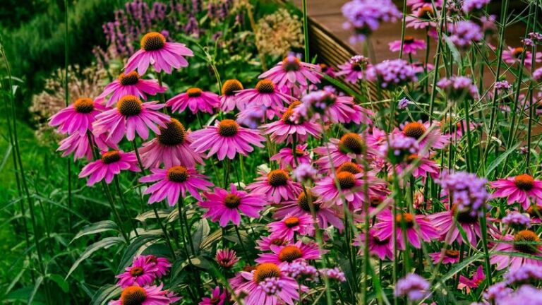 5 Breathtaking Perennials Most Gardeners Miss Until Their Beds Start Looking Tired In The Heat