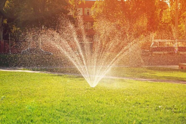 The Worst Time To Water Your Garden In Summer Heat-And 9 Smarter Habits That Actually Work