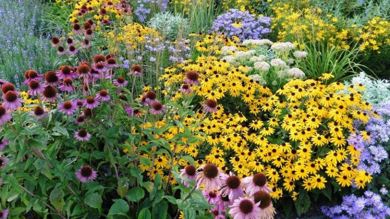 10 Perennials That Actually Get More Spectacular Every Single Year You Grow Them