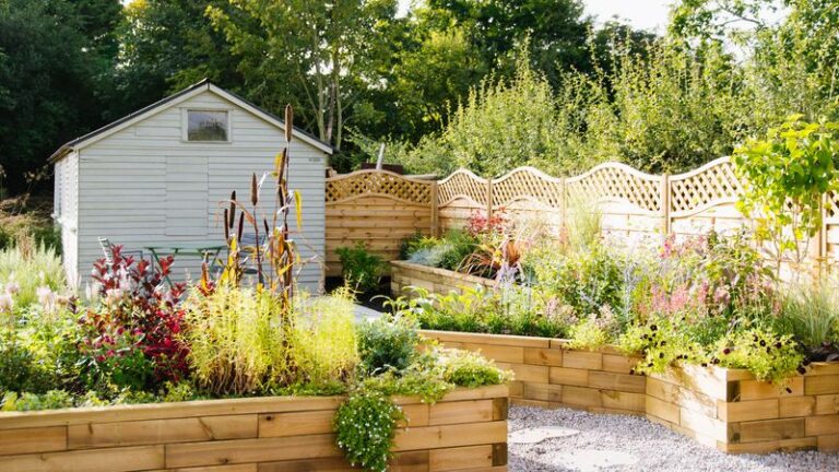 17 Budget-Friendly Plants That Fill Empty Garden Spaces Fast
