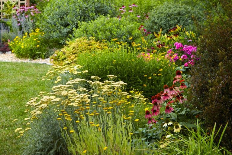 19 Gorgeous Perennials That Keep The Color Coming When Everything Else Fades