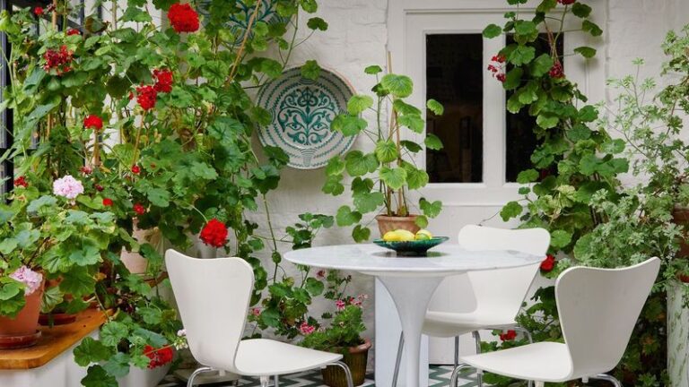 6 Space-Saving Tricks For Growing Fuller Geraniums In Pots On A Tiny Patio Or Balcony