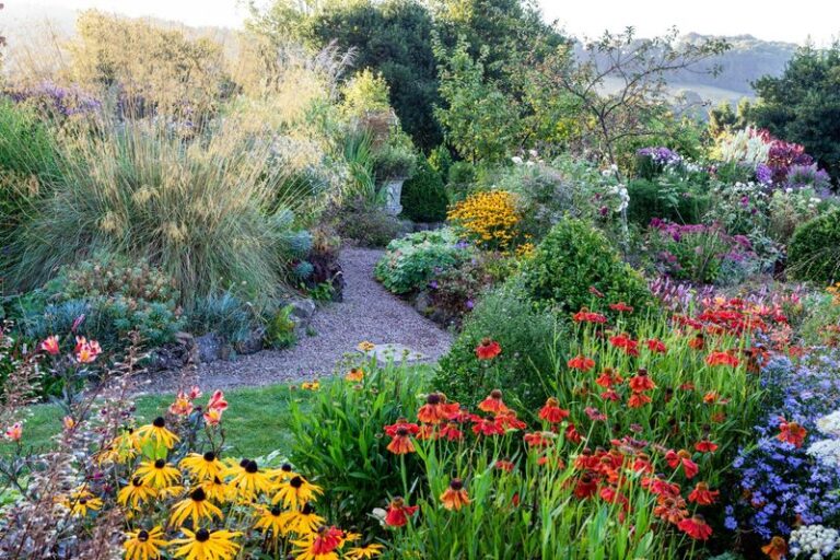 18 Tough Perennials That Come Back Every Single Year Once You Plant Them—No Replanting Ever Again