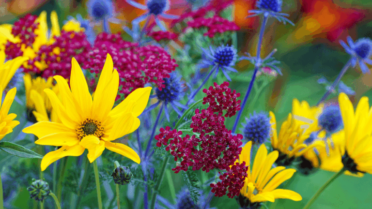 18 Low-Water Perennials That Keep Blooming Through The Hottest Weeks Of Summer