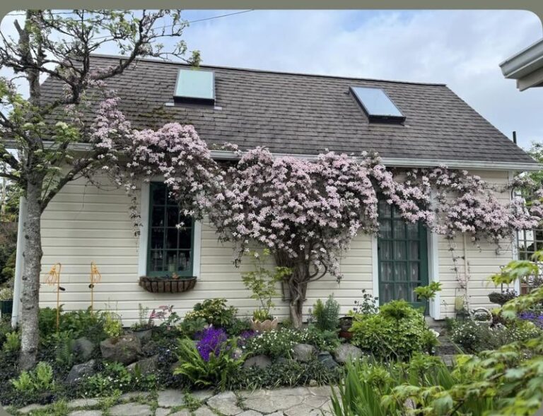 17 Easy Ways To Revive A Struggling Clematis That’s Reacting To One Hidden Mistake