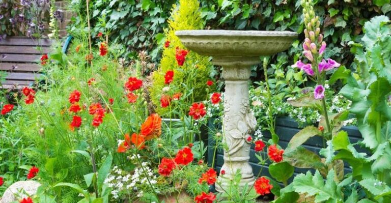 These DIY Bird Baths North Carolina Gardeners Build In A Weekend Draw More Birds Than Store-Bought Ones