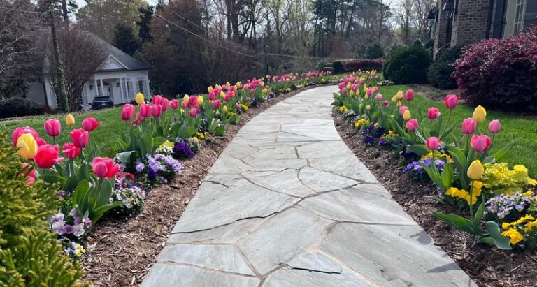 The North Carolina Bulbs You Plant In September That Quietly Multiply Into A Standout Spring Display
