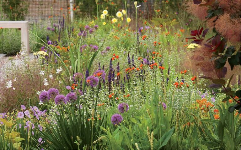 If You Want A Garden That Fills In Fast, Here Are 17 Perennials That Triple In Size In One Season