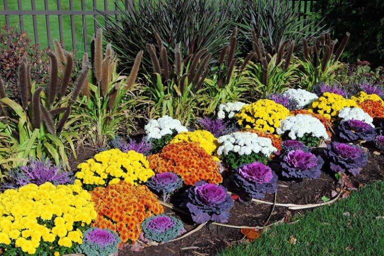 If You Want Fall Color That Lasts, Here Are 15 Flowers To Plant Right Now (And 5 You’ll Regret Starting Too Late)