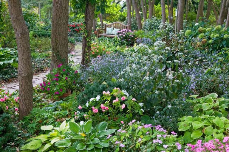 That Dark Shady Corner By The Fence Doesn’t Have To Stay A Dead Zone Any Longer