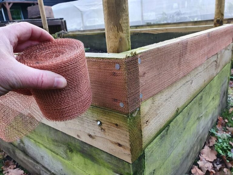 If Your Garden Beds Turn Into A Slug Buffet After Every Rain, These Sharp Barriers Stop Them Cold