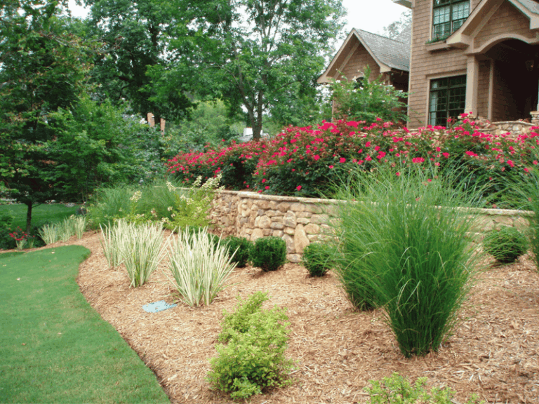 North Carolina County Rules Ban These Backyard Plants – And Here’s Which Ones You Can Still Challenge