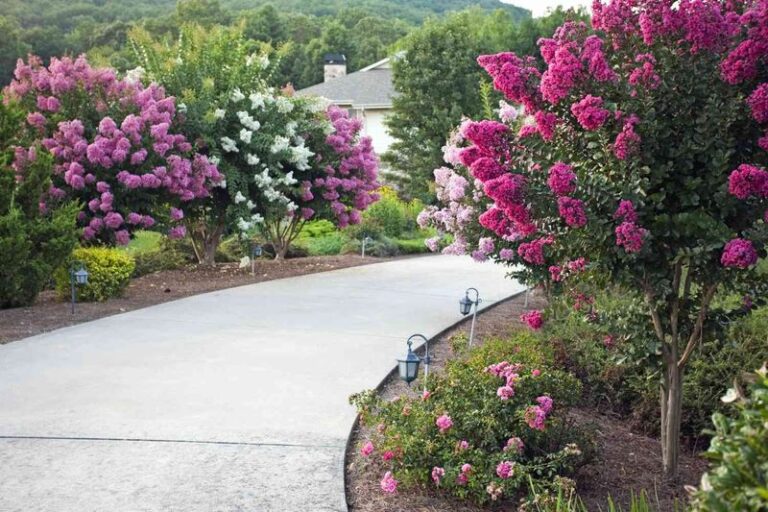 9 Flowering Shrubs That Bring Bolder Color Than Hydrangeas With Half The Fuss