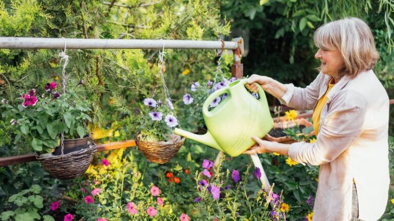 The Right Way To Water Your Hanging Baskets So The Blooms Stop Wilting By Afternoon