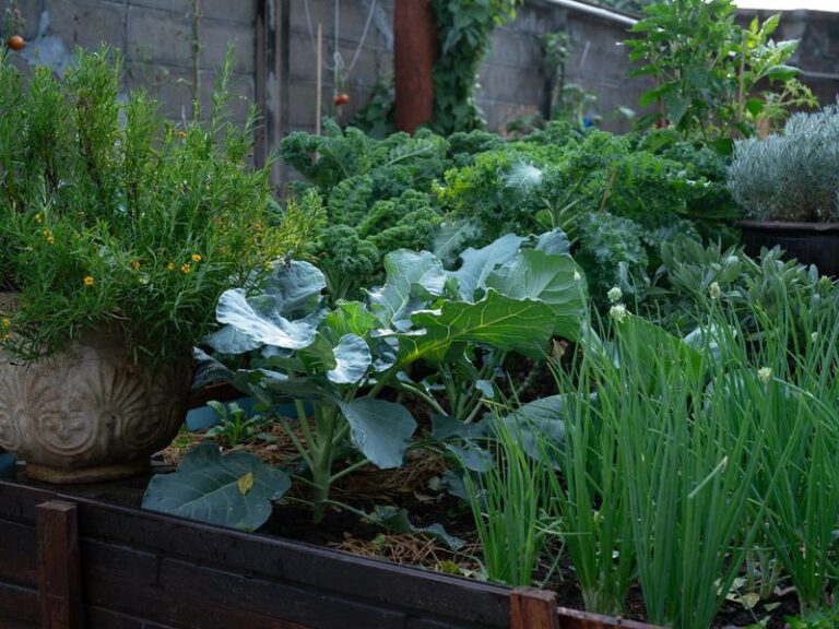 If You Still Have Empty Beds In Late August, Here Are 15 Crops You Can Plant Right Now For A Fall Harvest