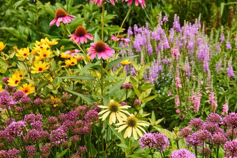 19 Gorgeous Perennials That Carry Bold Color Into Your Garden’s Late Season