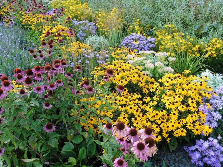 17 Budget Plants That Fill Bare Garden Spots Fast Before Summer Fades
