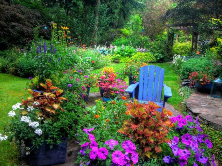 If You Want Nonstop Summer Color On A Budget, Here Are 19 Cheap Flowers That Bloom All Season