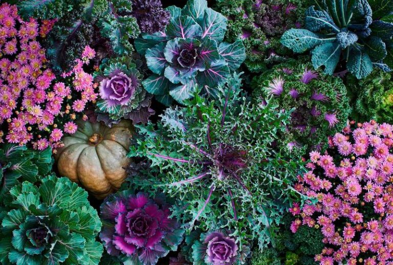 If You Want Color That Carries Into Fall, Here Are 18 Flowers To Plant Right Now For Nonstop Blooms
