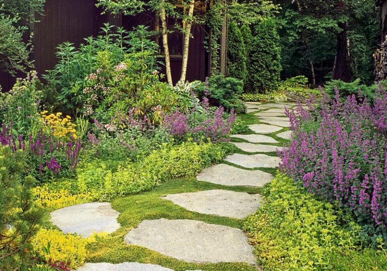 10 Powerful Ground-Cover Plants That Smother Weeds While They Thrive