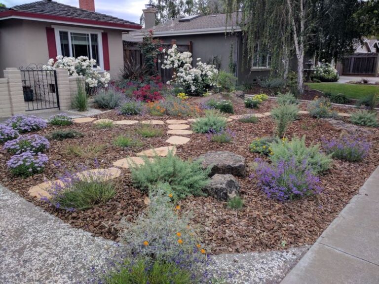 The North Carolina HOA Rules About Native Plants You Actually Have The Right To Push Back On