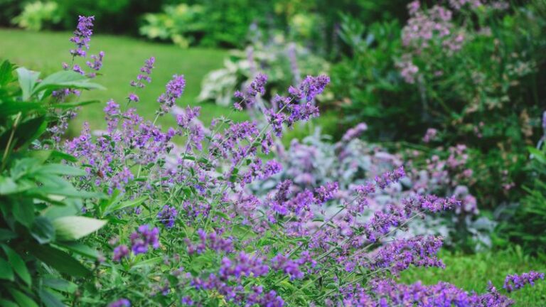 9 Beautiful Flowering Shrubs To Plant When Your Hydrangeas Keep Letting You Down