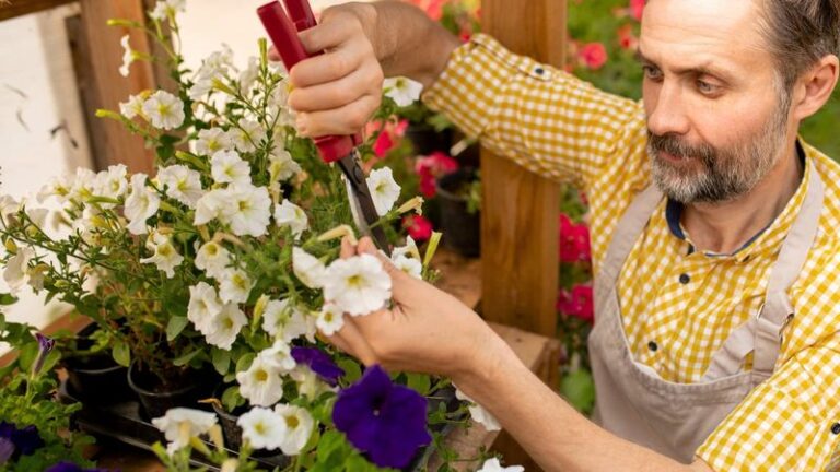How To Pinch, Cut Back, And Deadhead Petunias For Fuller Plants And More Flowers