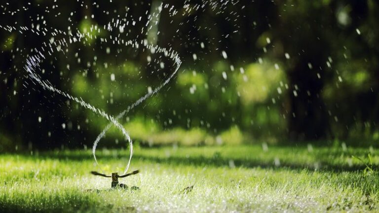 Watering Your Lawn In Full Sun Won’t Scorch The Grass — Here’s The Myth Finally Settled
