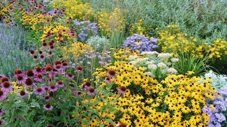 10 Perennials That Reward Your Patience By Getting More Spectacular Every Single Year
