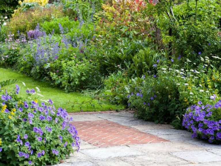 The Native North Carolina Perennials That Choke Out Weeds Better Than Landscape Fabric In A Full-Sun Border
