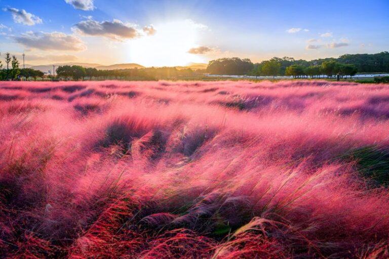 The Most Underrated North Carolina Native Grass That Keeps Fleas Out Of Yards Where Pets Play
