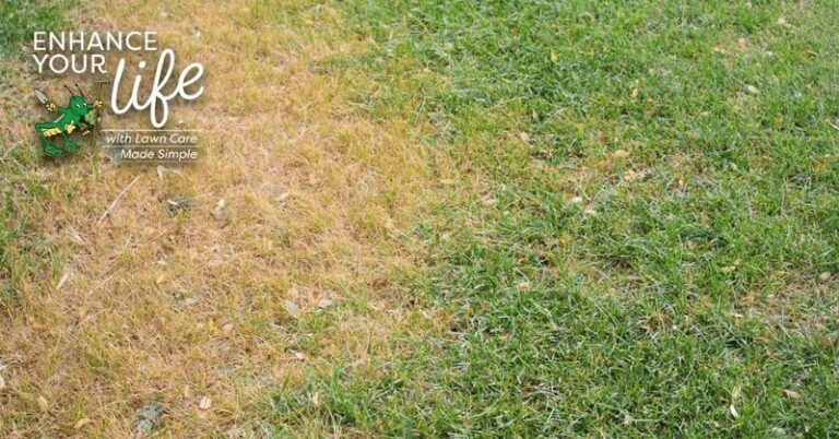 If Your Lawn Turned Brown And Bumpy This Summer, Here Are 14 Fixes That Bring It Back Without Renting Equipment