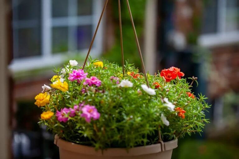If Your Petunias Fizzled Out In The Heat, Here Are 13 Tougher Flowers That Handle Hot Spots Better