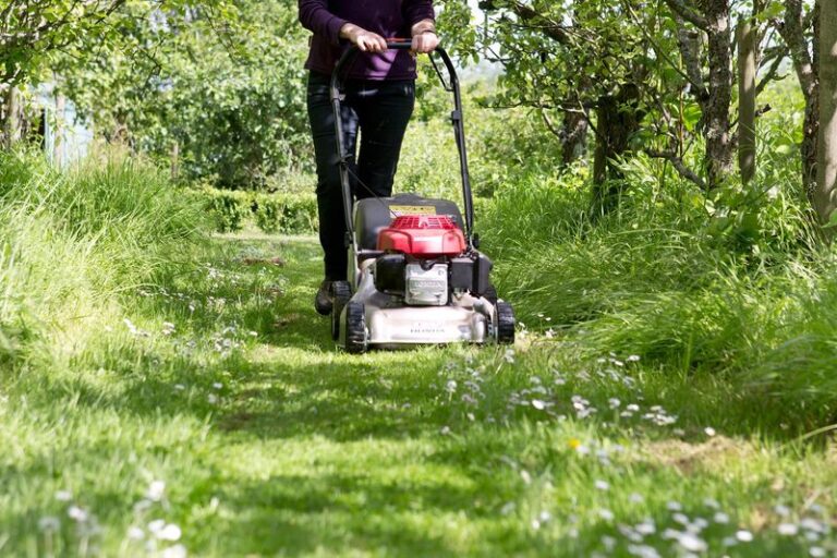 If Your Late-Summer Lawn Grows Fast But Thins Out, Your Mower Is Set To Quietly Weaken It