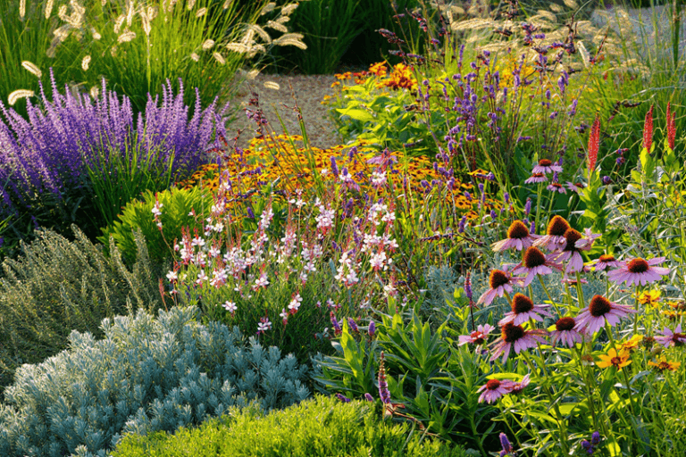 14 Drought-Tough Plants That Shrug Off Blazing Summer Days (And 5 That Can’t Keep Up)